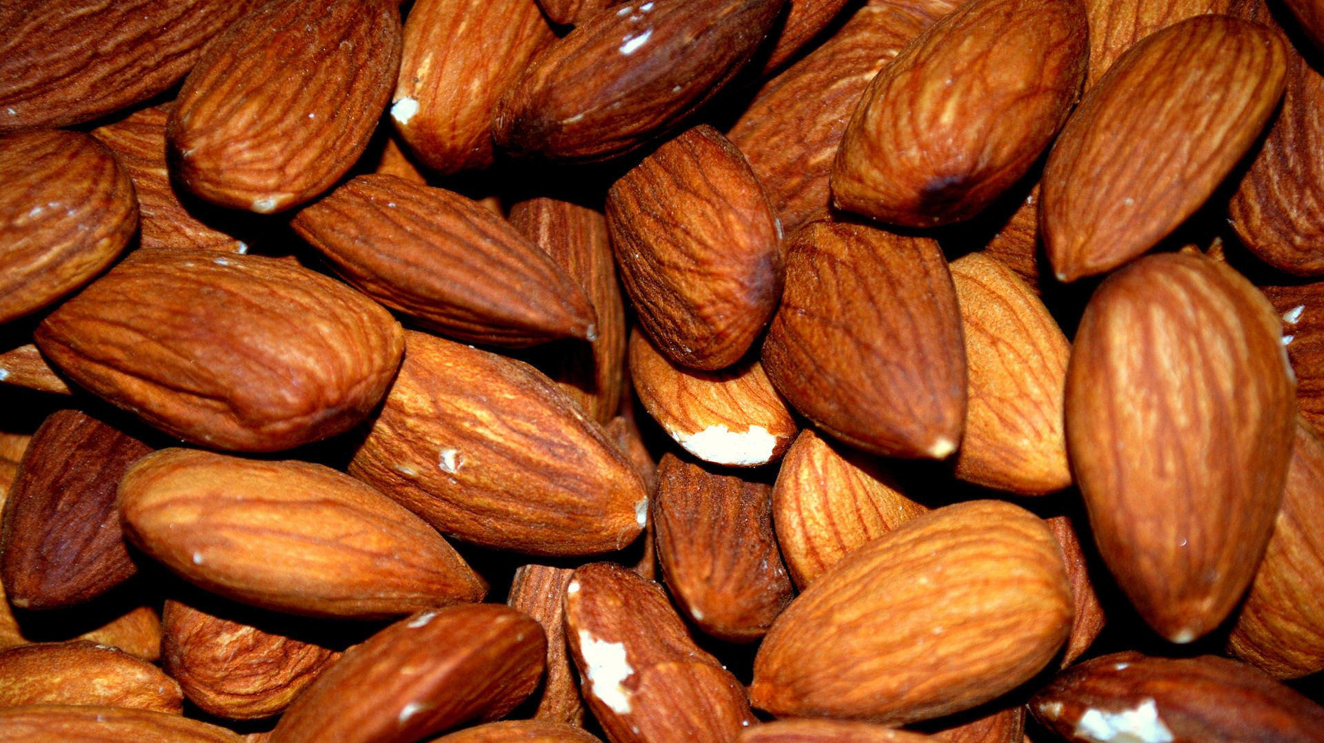 Sweet Almond Carrier Oil