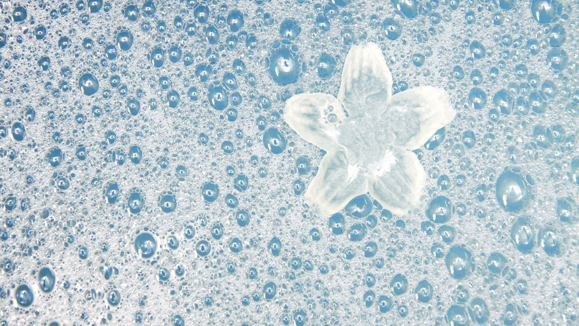 White flower in bubble bath