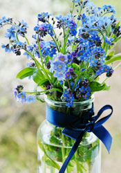 blue flowers