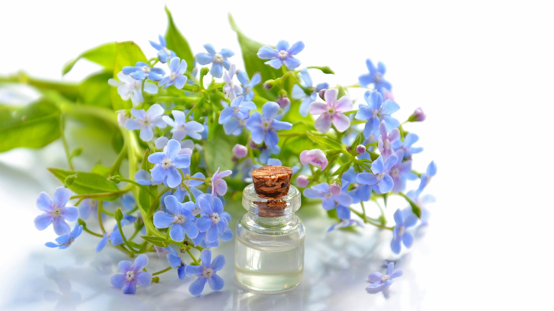 Selecting Quality Essential Oils