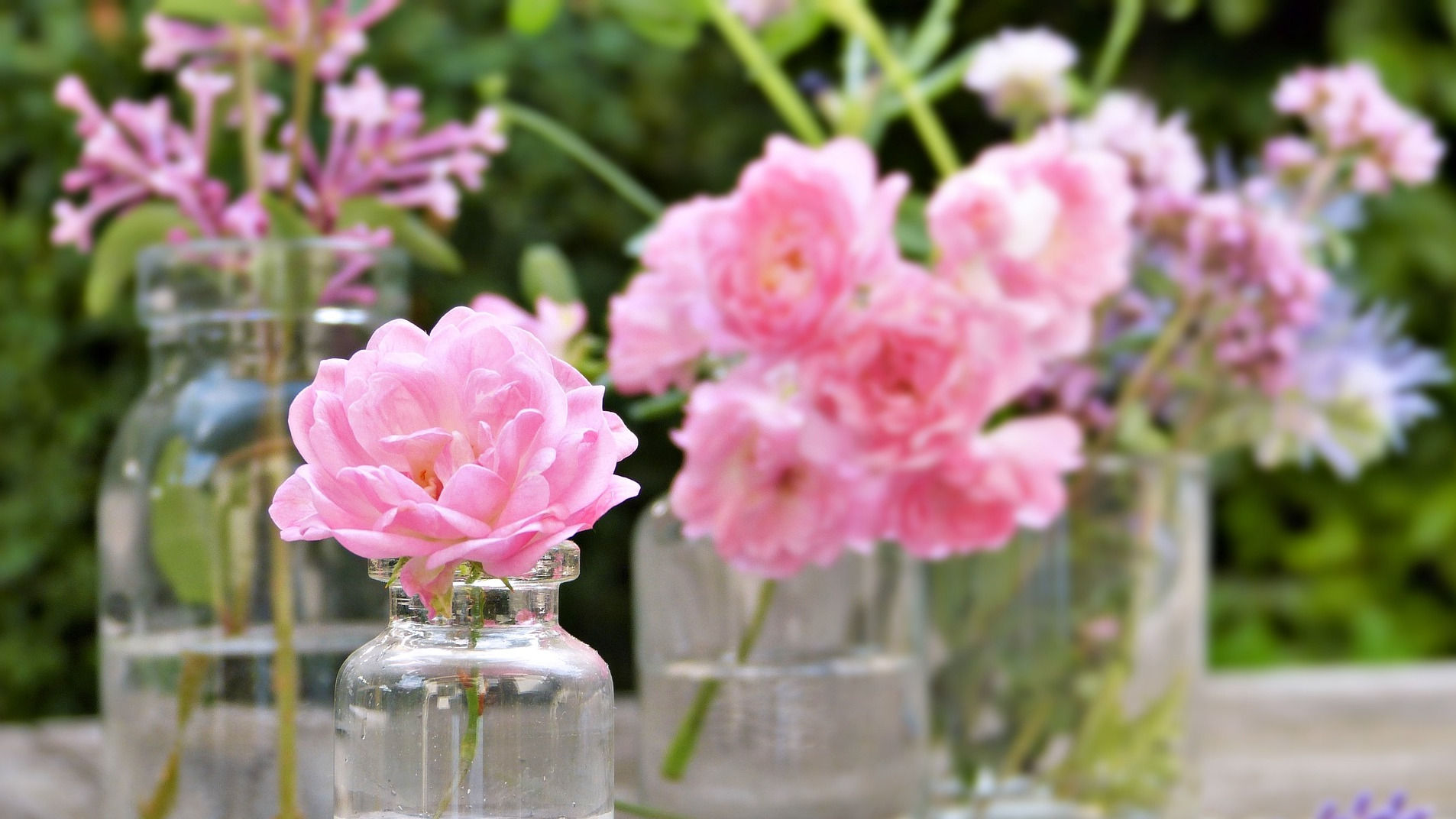 Roses in glass bottles