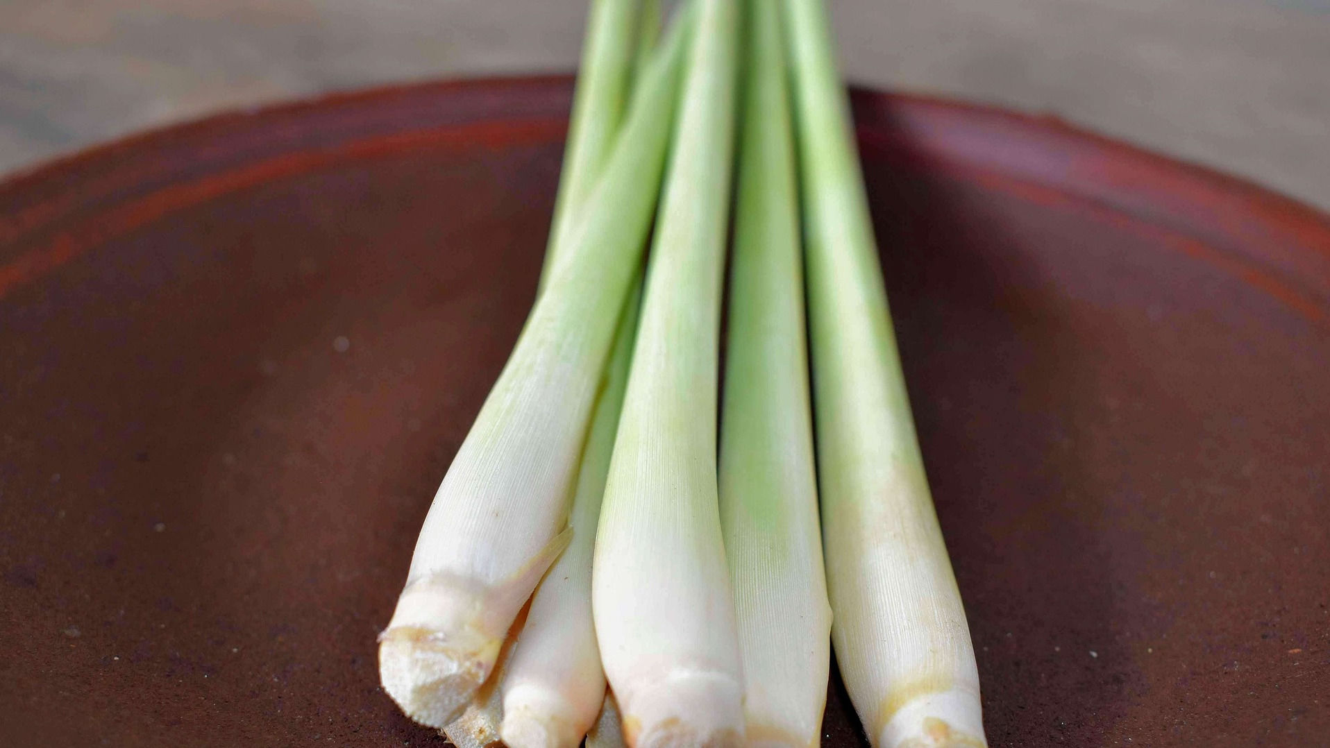 Lemongrass Stalks is used to make Lemongrass Essential Oil