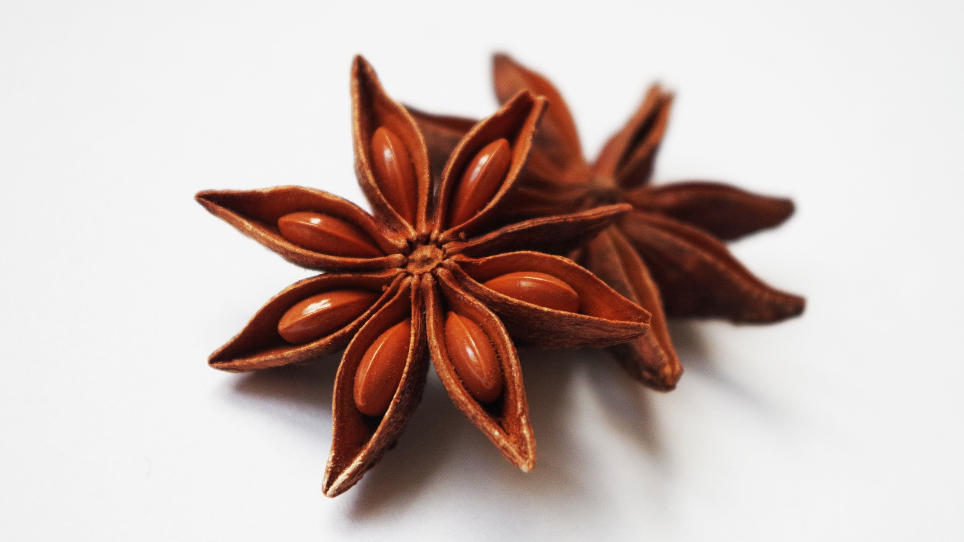 Star Anise Seed Pod used to make Star Anise Essential Oil